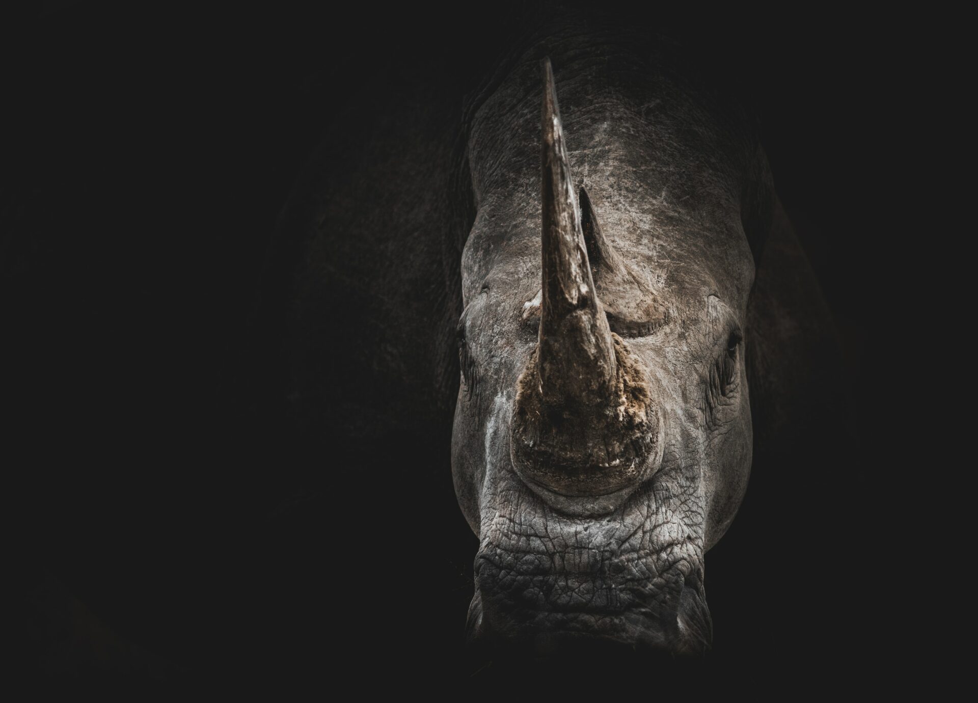 https://w.horasis.org/wp-content/uploads/2021/03/geran-de-klerk-KsMD_tAdjg0-unsplash.jpg