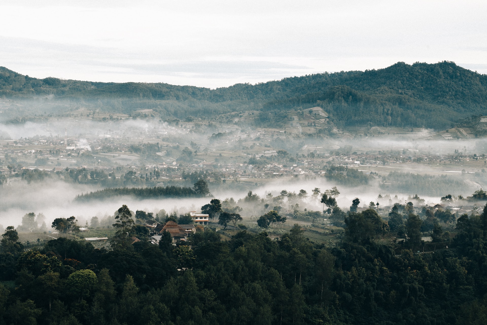 https://w.horasis.org/wp-content/uploads/2022/12/rifqi-ali-ridho-1ftrPzqRMTo-unsplash.jpg